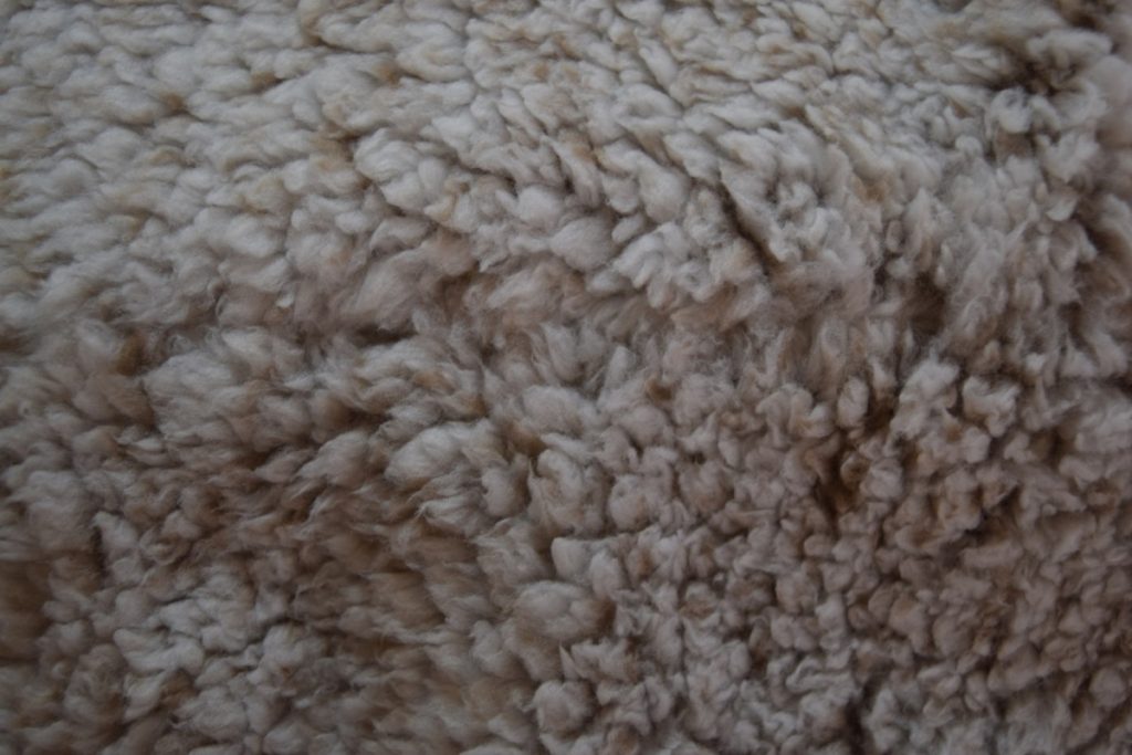 teddy bear fleece after picking the fur out of the seam